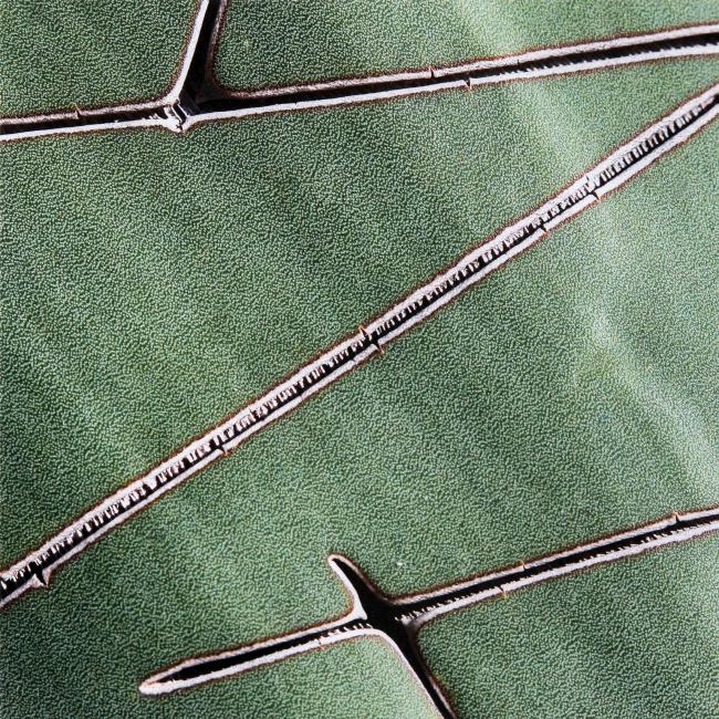 feuilles cailloux ciseaux
