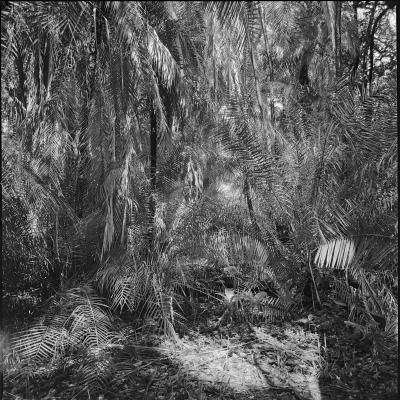 Victoria falls, Zimbabwe